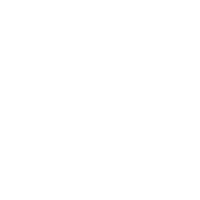 melro imports home accent icon