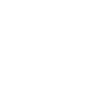 melro imports new icon